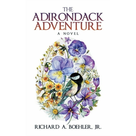 The Adirondack Adventure: A Novel