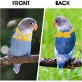 thumbnail image 4 of SHAR Parrot Harness and Leash (Yellow), Adjustable Parrot Flight Training Rope for Parrots Nylon Rope Bird Harness and Leash Kit for Birds Training Rope, 4 of 5