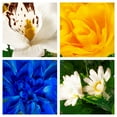 thumbnail image 5 of Sympathy Silks Artificial Cemetery Flowers 24" Blue Yellow White Orchid Mix Bouquet with Vase, 5 of 7