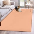 thumbnail image 2 of Peach Fuzz Large Area Rugs for Bedroom Living Room, Soft Non Slip Carpet Bedside Rug, Modern Pure Peach Fuzz Rectangular Floor Cover Kitchen Accent Rug 3'x5' for Dining Room/Office, 2 of 9