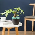 thumbnail image 3 of Garden Self Watering Plant Pot - Time-Saving Functional Plant Pot - African Violets  Orchid  Flower Pot Container(Black), 3 of 8
