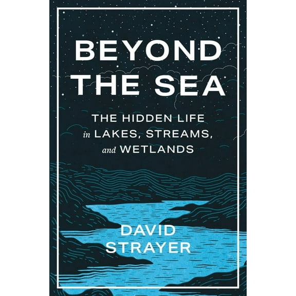 Beyond the Sea: The Hidden Life in Lakes, Streams, and Wetlands, (Hardcover)