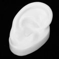 thumbnail image 4 of Silicone Ear Model Simulation Artificial Ear Display Model for Hearing Aids WearingRight Ear, 4 of 5