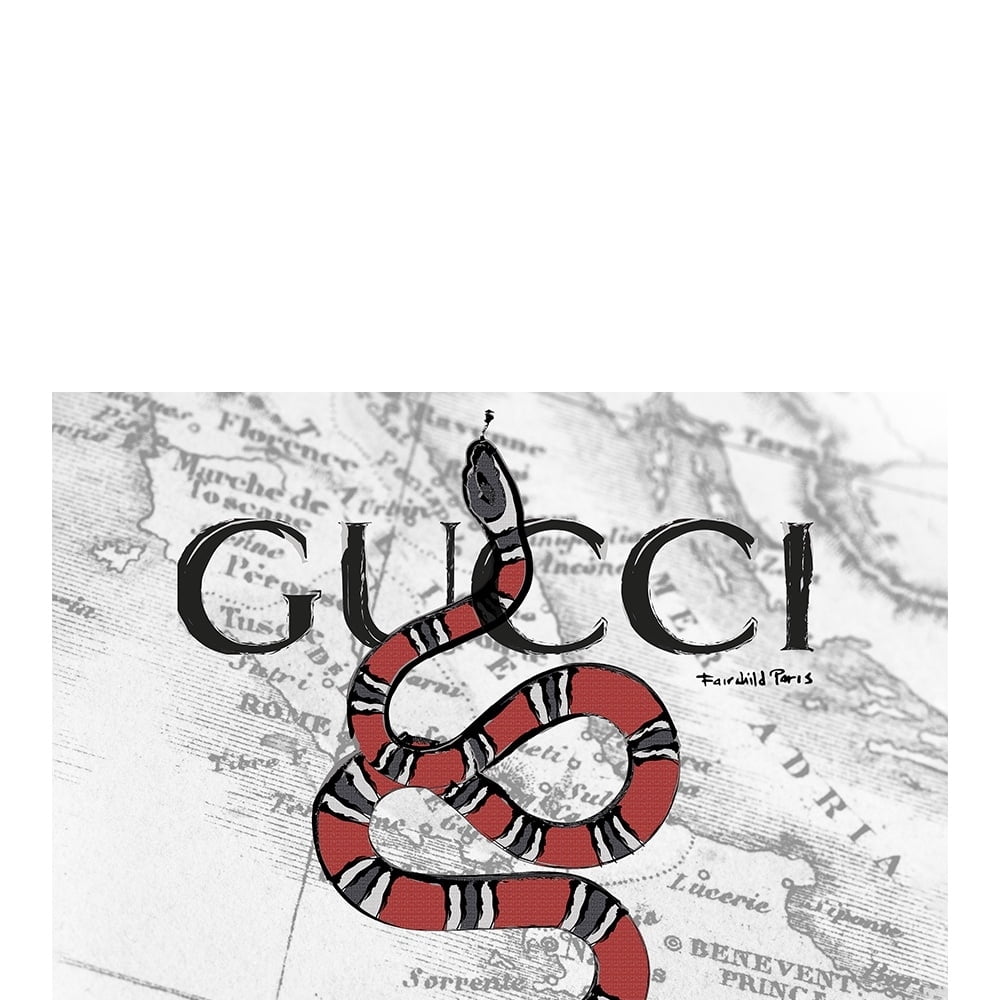 FASHION SNAKE - 14"x14" Canvas Artwork - Multi-Color 14 x 14