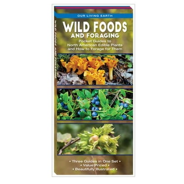 Our Living Earth: Wild Foods and Foraging : Pocket Guides to North American Edible Plants and How to Forage for Them (Mixed media product)