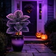 thumbnail image 7 of Artificial Purple Calathea Plant, Home Party Decoration, Purple Leaf Decor Artificial Plant Simulation Pot Bonsai Flower Ornament Hotel Room Desk Decorate((No Flowerpot),23.6"), A, 7 of 7