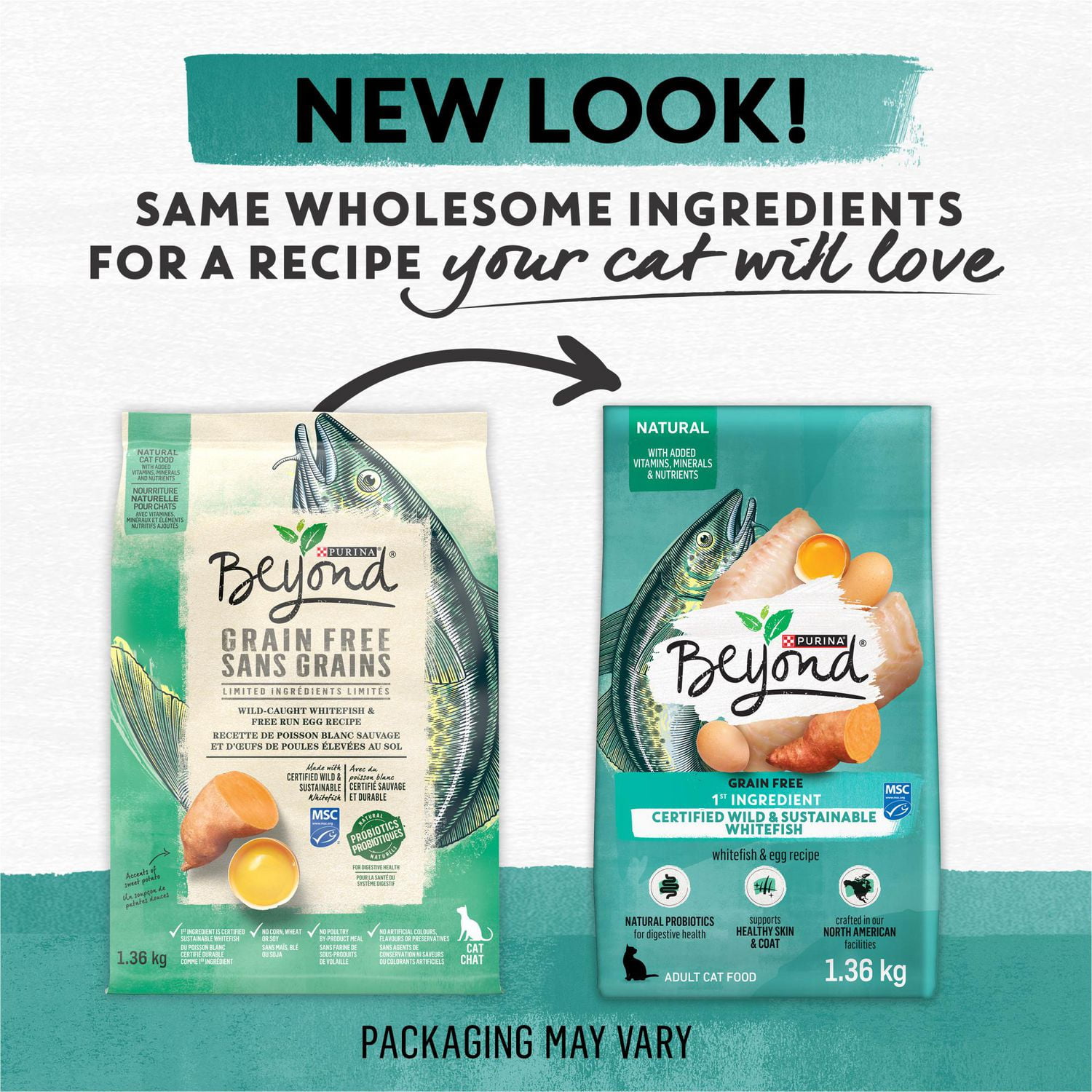 Beyond Grain Free Wild-Caught Whitefish & Free Run Egg Recipe, Dry Cat Food 5 kg