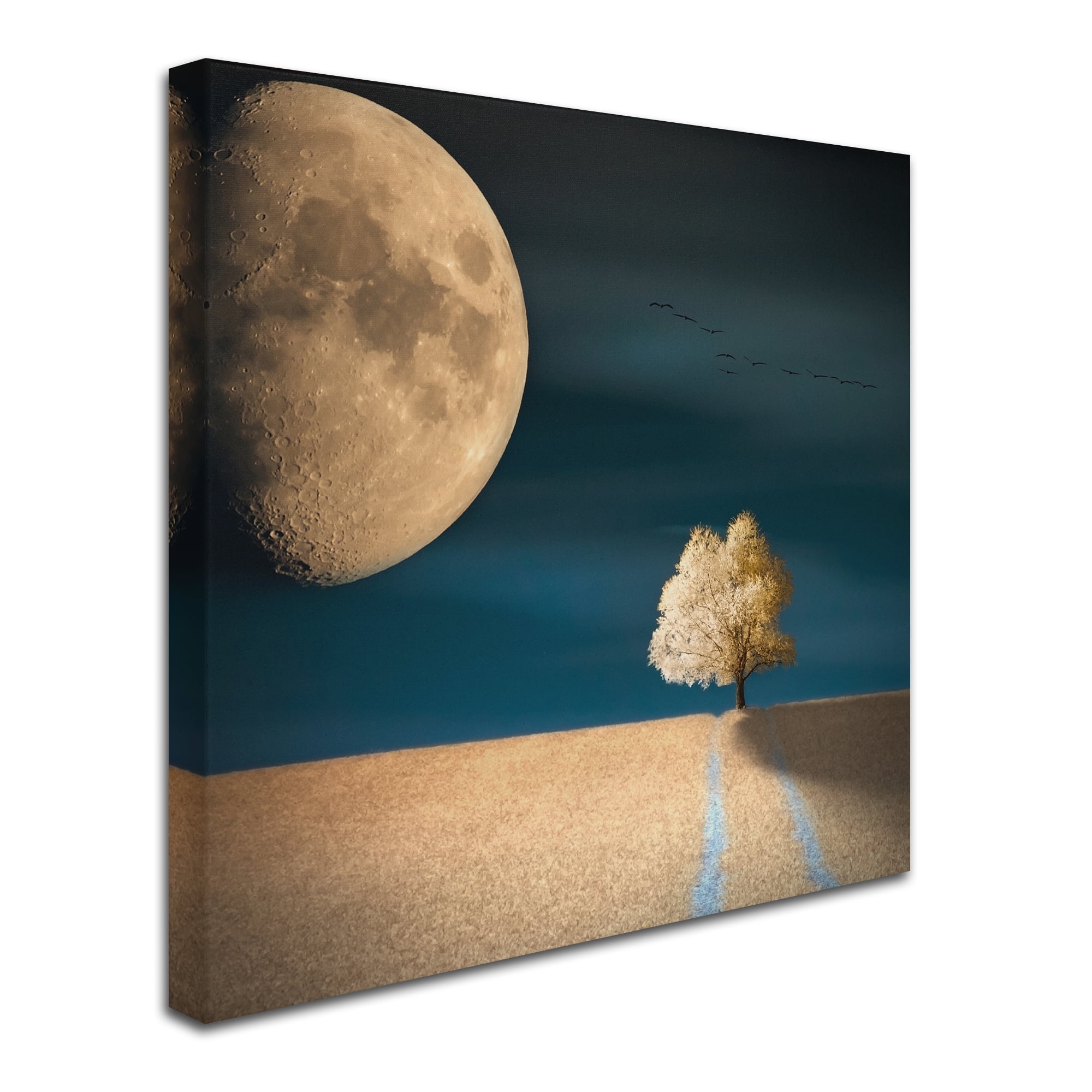 Trademark Fine Art 'Gmo' Canvas Art by Piotr Krol