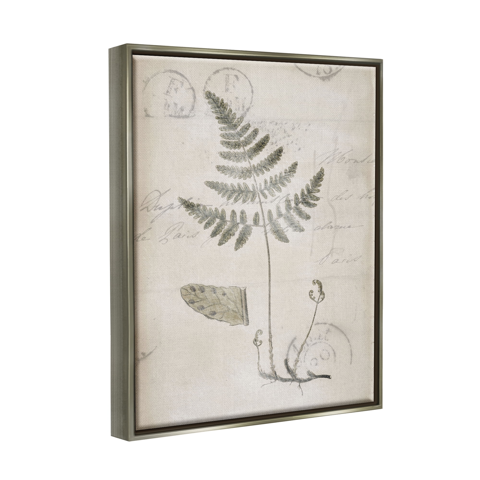 Stupell Industries Antique Fern Woodland Plant Study Botanical & Floral Drawing Gray Floater Framed Art Print Wall Art