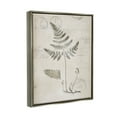 thumbnail image 3 of Stupell Industries Antique Fern Woodland Plant Study Botanical & Floral Drawing Gray Floater Framed Art Print Wall Art, 3 of 6