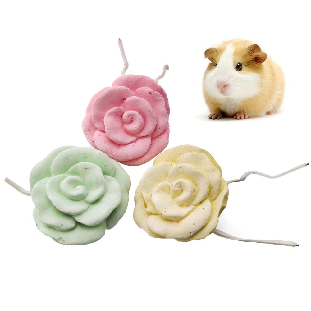 Small Pet Animal Fruit Shape Mineral Molar Stone Chew Toy for Hamster Guinea Pig 