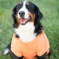 thumbnail image 5 of Midlee Coral Dog Sweatshirt (Medium), 5 of 7