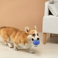 thumbnail image 1 of Baguette Interactive pour Chat pour Exercice Intérieur, 1 of 6