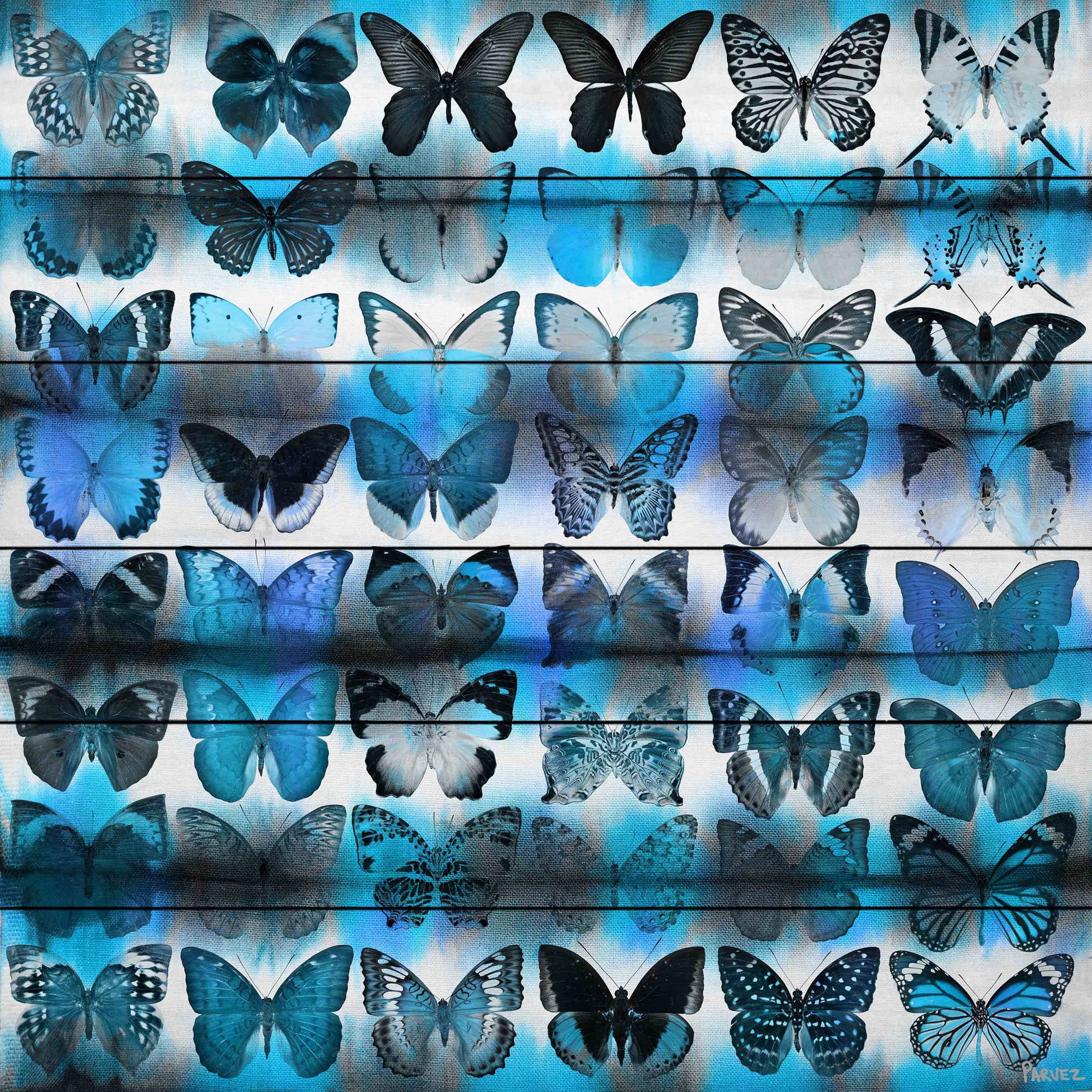 Parvez Taj Butterfly Animals Art Print