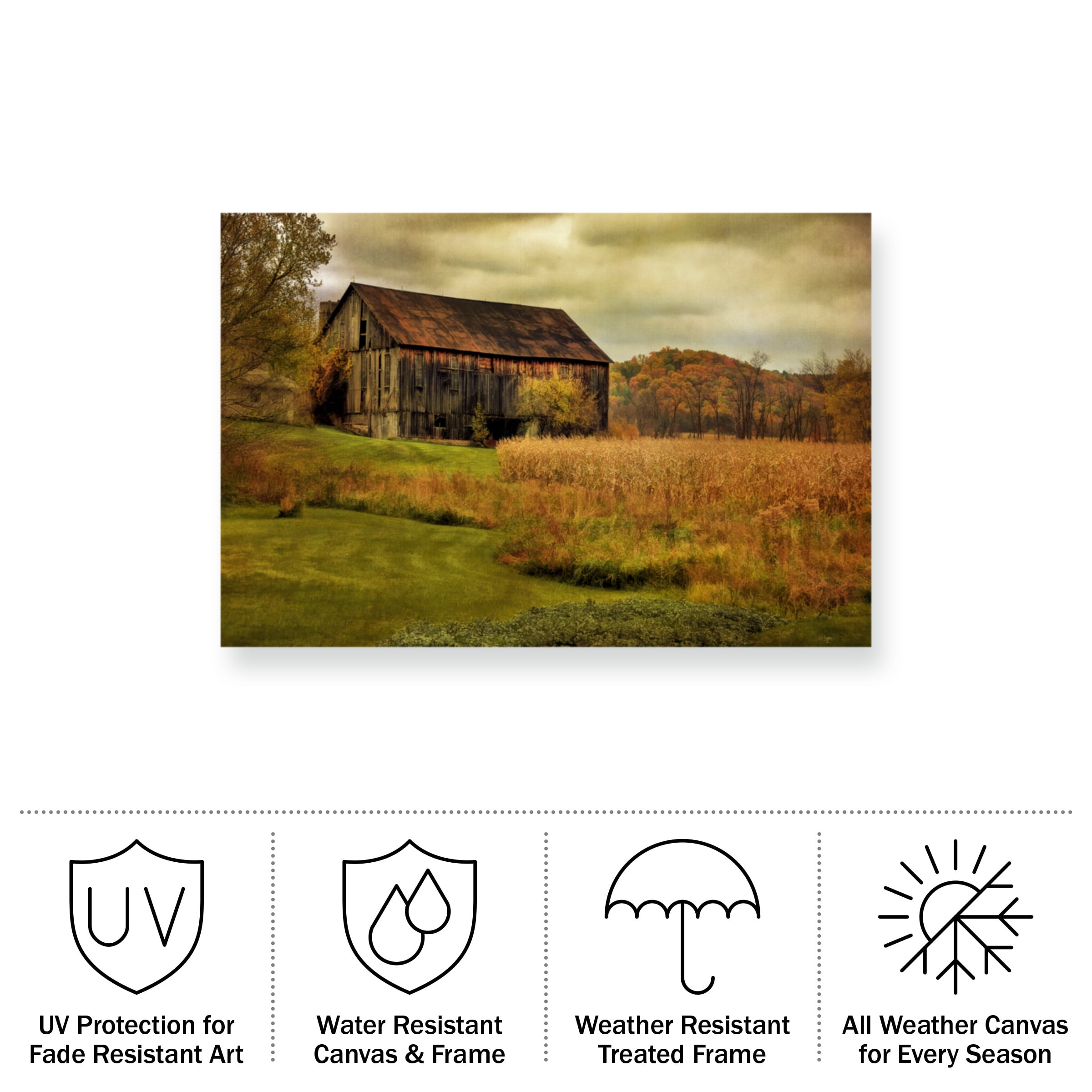 Lois Bryan 'Old Barn on Rainy Day' Outdoor Canvas 12x19