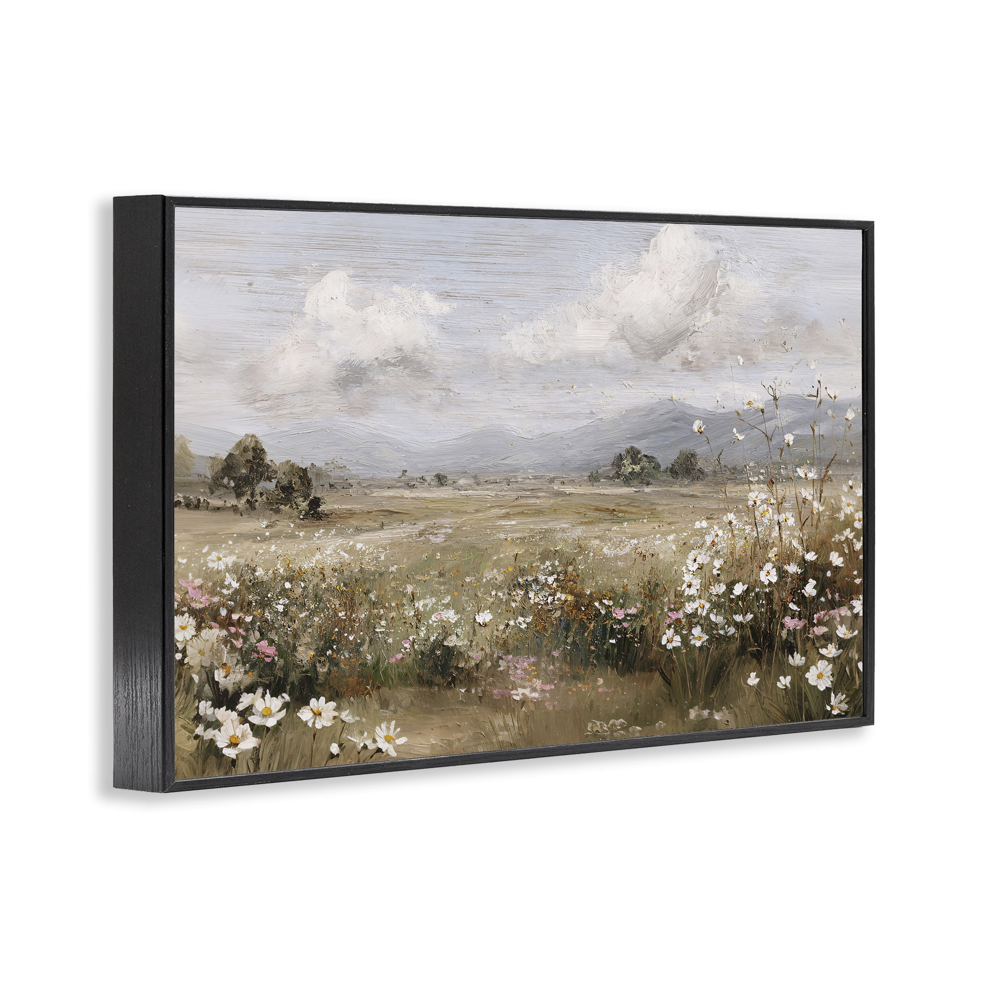 Stupell Industries Daisy Clusters in Field Black Framed Giclee Art, design by Jacky Ngan