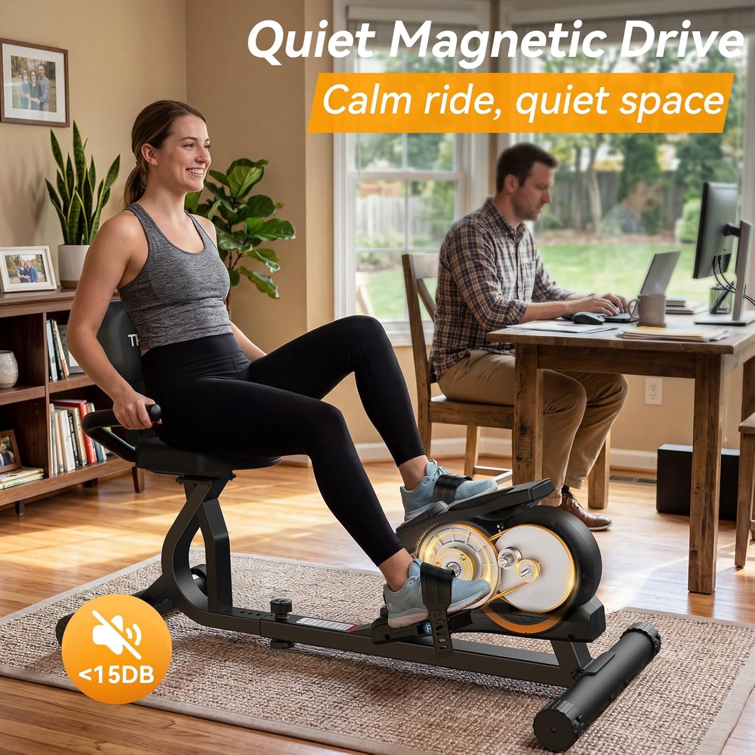 LNOW Recumbent Exercise Bike Stationary Belt Drive Indoor Cycling Bikes for Home Cardio Workout Training
