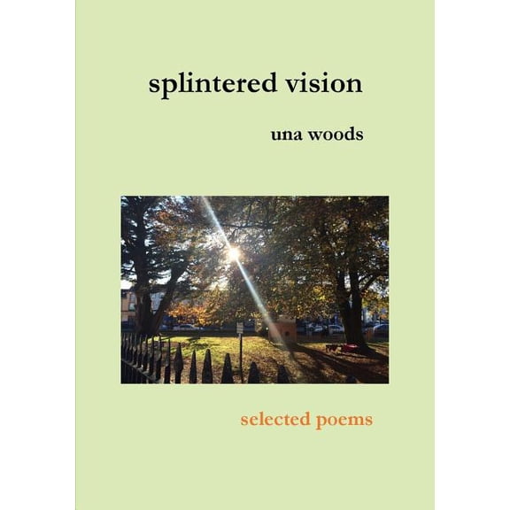 splintered vision, (Paperback)