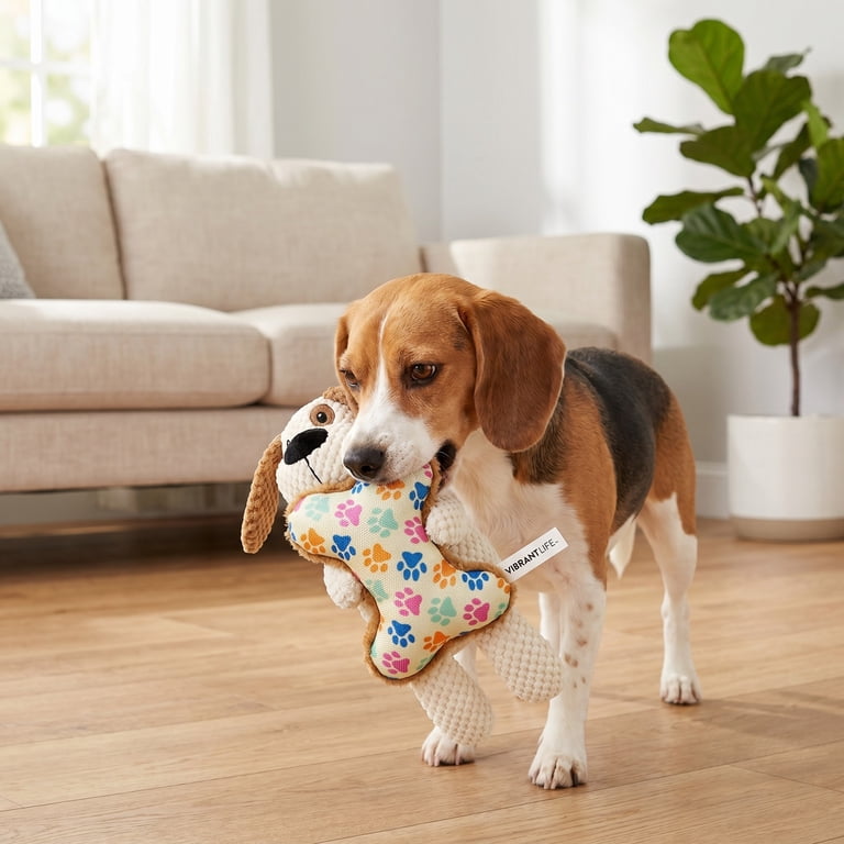 Vibrant Life Tough Buddy Dog Chew Toy with Bone, Squeaker, Soft