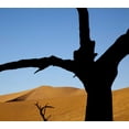 thumbnail image 2 of Kaveney, Wendy 29x26 White Modern Wood Framed Museum Art Print Titled - Namibia, Sossusvlei Dead trees with sand dune, 2 of 4