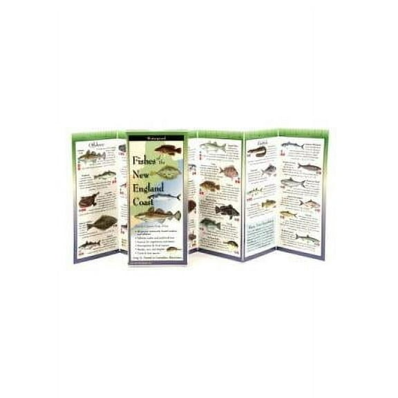 FoldingGuides: Fishes of the New England Coast (Other)