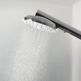 Smart 2Spray Wall Mount Handheld Shower Head 2.5 GPM in Moon