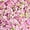 Pink, variant on Member's Mark Stock, 100 stems, choose color