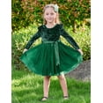thumbnail image 3 of Lanbubble Toddler Girls Dresses Long Sleeve Velvet Tutu Dress Tulle Birthday Party Princess Dress for girl 1-6T, 3 of 8
