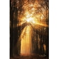 thumbnail image 2 of Podt, Martin 11x14 White Modern Wood Framed Museum Art Print Titled - Sunburst, 2 of 4