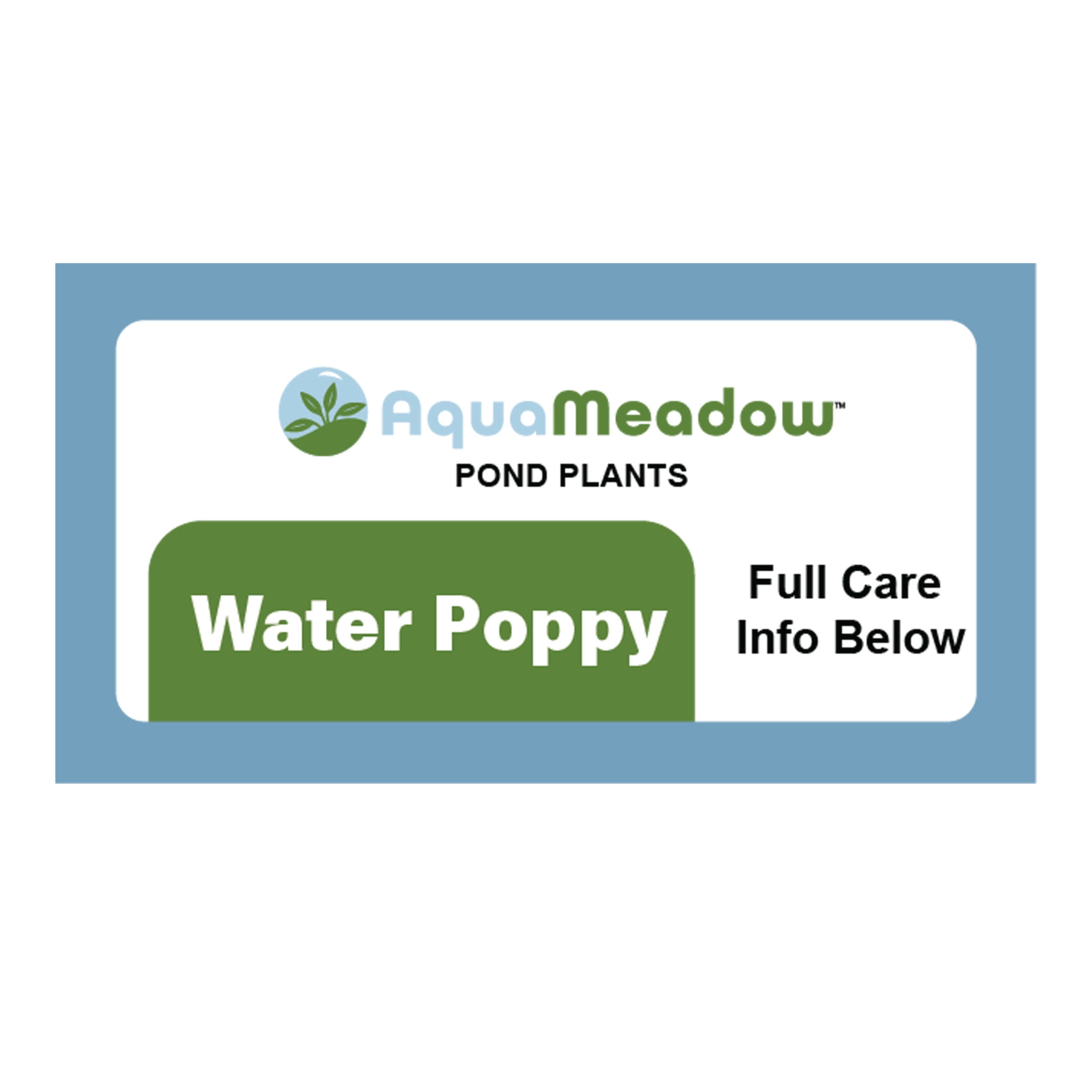 AquaMeadow Water Poppy Surface Plant 3ct