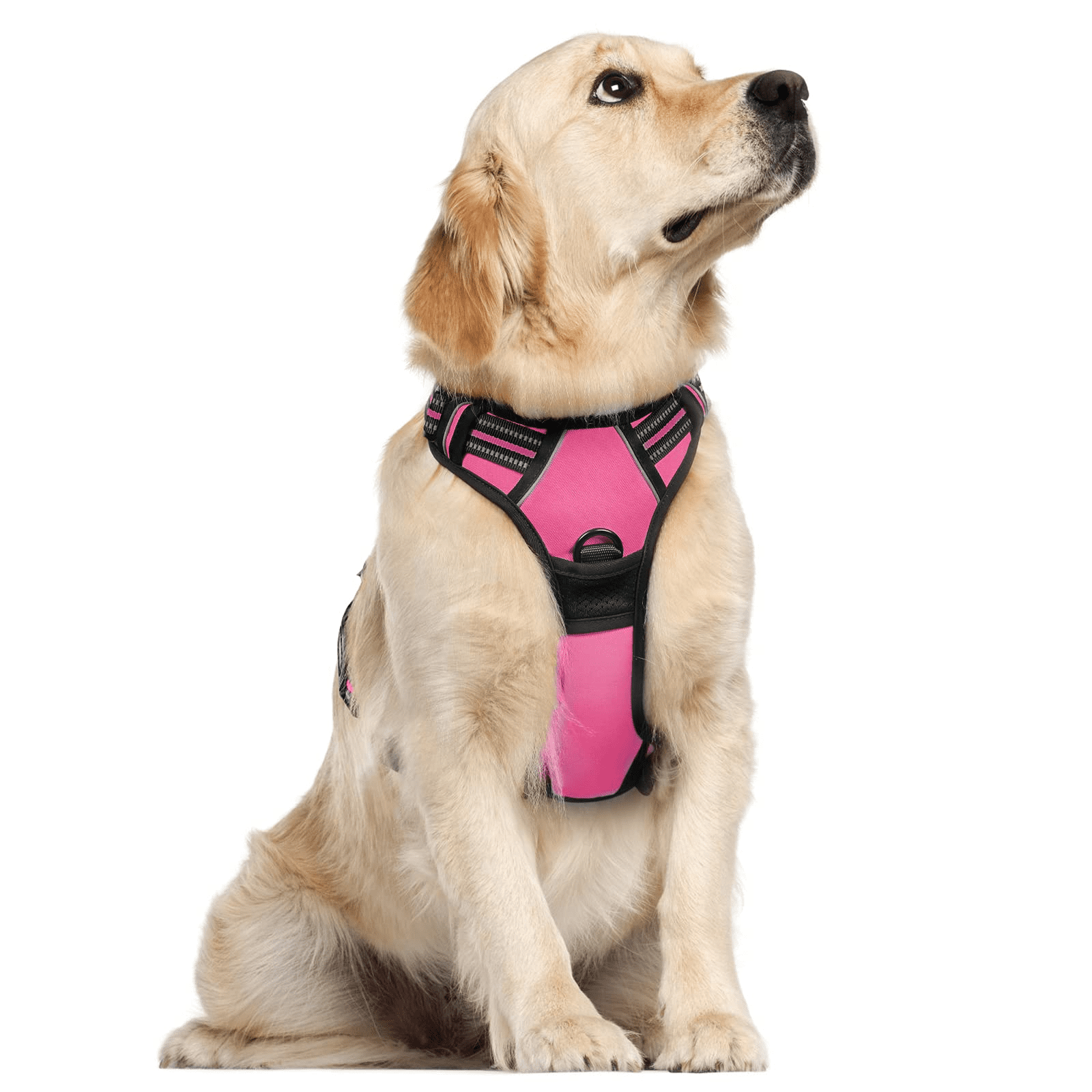 Gliard Dog Harness, No Pull Dog Harness Pet with 2 Leash Clips for  Large/Small/Middle Dogs (VV Pattern-M Size)