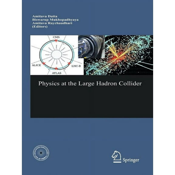 Physics at the Large Hadron Collider, (Paperback)