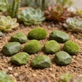thumbnail image 4 of Jkkant Artificial Mossy Stone Set - Polystyrene Foam Rocks for Fairy Garden, Plant Decor, DIY Crafts (6-Pack), 4 of 9