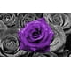 Tableau Abstrait Floral Violet Rose Toile ART Mural Imprimé Sans Cadre – image 2 sur 4