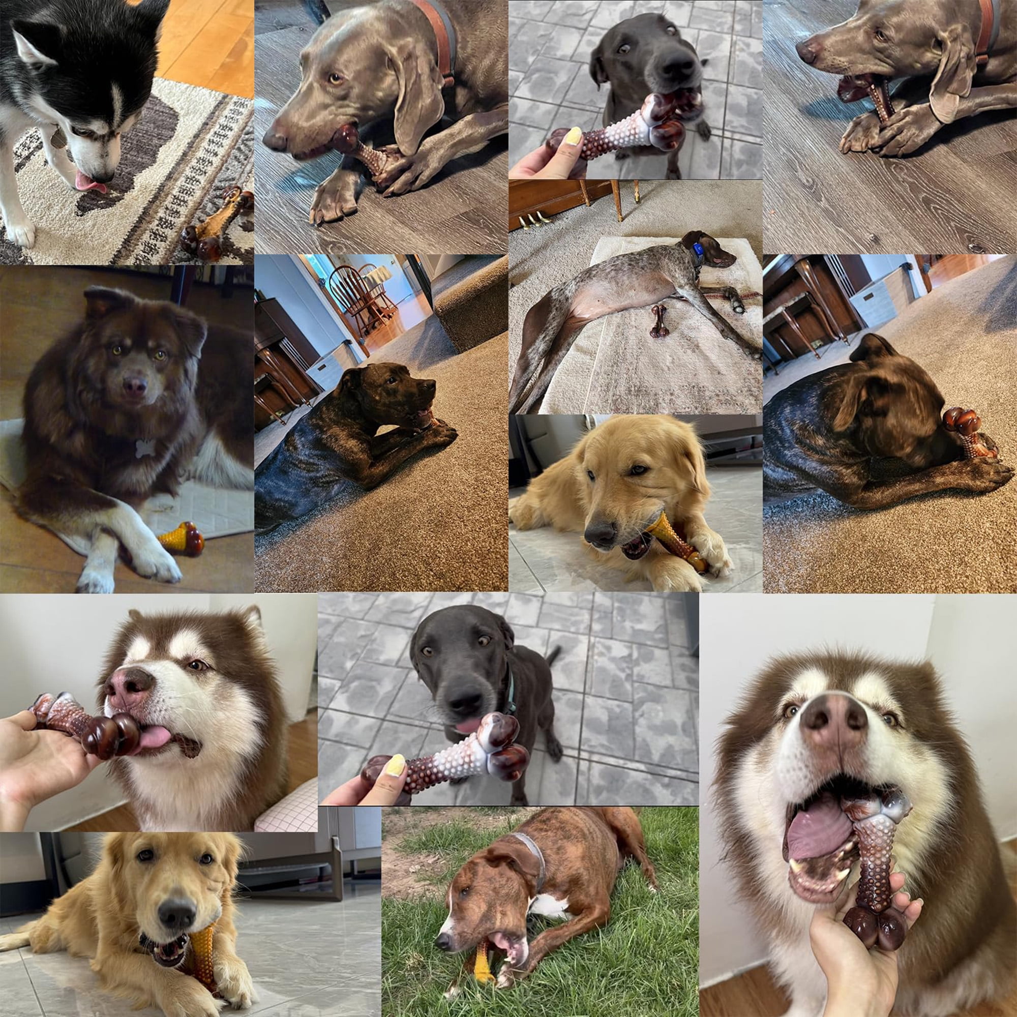 Durable nylon chew toy for aggressive chewers (all sizes), beef/bacon flavored, teeth-cleaning, indestructible bone. Multicolor.
