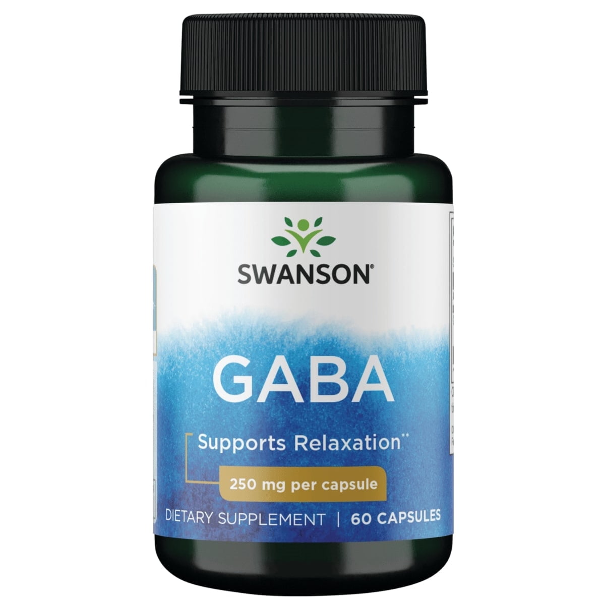 Swanson Gaba Gamma Aminobutyric Acid 250 mg 60 Capsules