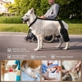thumbnail image 4 of UOSIA Adjustable Dog Knee Brace - Hind Leg Support, Dog Comfortable Wrap with Straps, 4 of 7