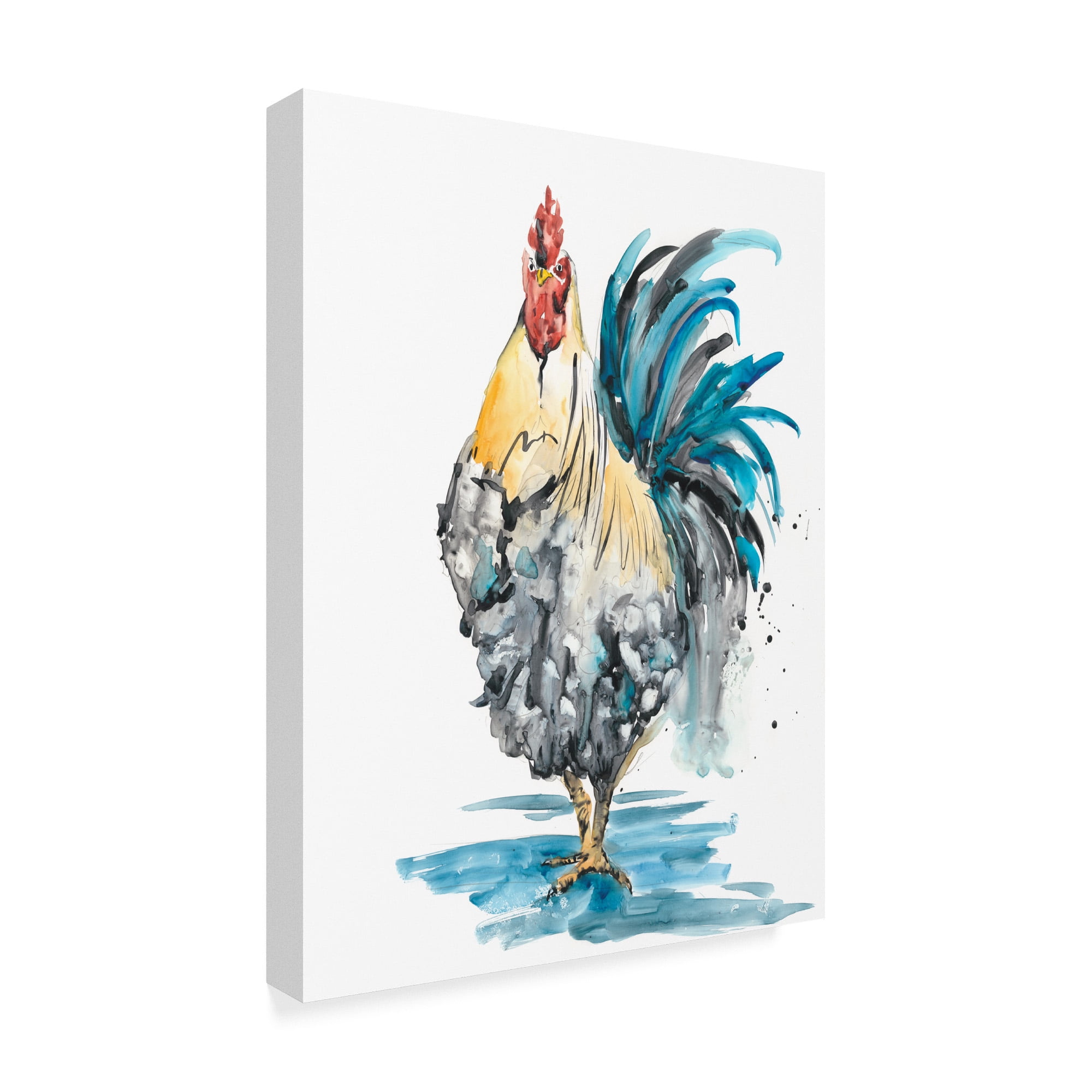 Trademark Fine Art 'Rooster Splash II' Canvas Art by Melissa Wang