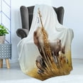 thumbnail image 4 of Giraffe Soft Flannel Fleece Throw Blanket, Grasslands of Kenya African Safari Lion Safari Zebra Tiger Photo Print, Cozy Plush for Indoor and Outdoor Use, 50" x 70", Multicolor, by Ambesonne, 4 of 5