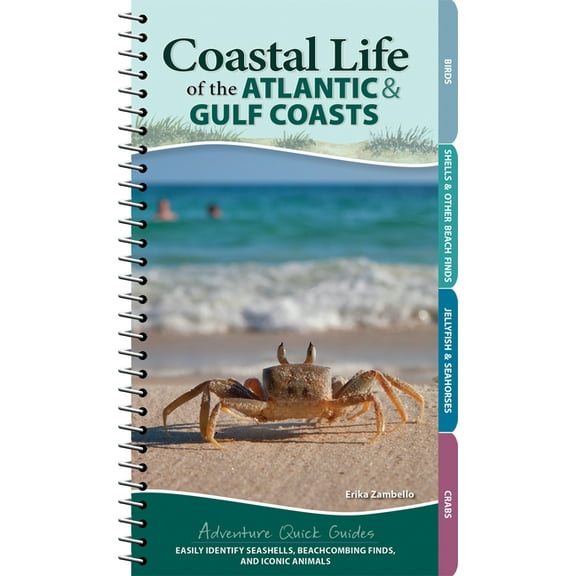Adventure Quick Guides Coastal Life of the Atlantic and Gulf Coasts: Easily Identify Seashells, Beachcombing Finds, and Iconic Animals, (Spiral-Bound)