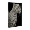 thumbnail image 3 of Stupell Industries Elegant Glam Leopard Spots Animals Painting Wrapped Canvas Canvas Art Print Wall Art, 24 x 36, 3 of 7