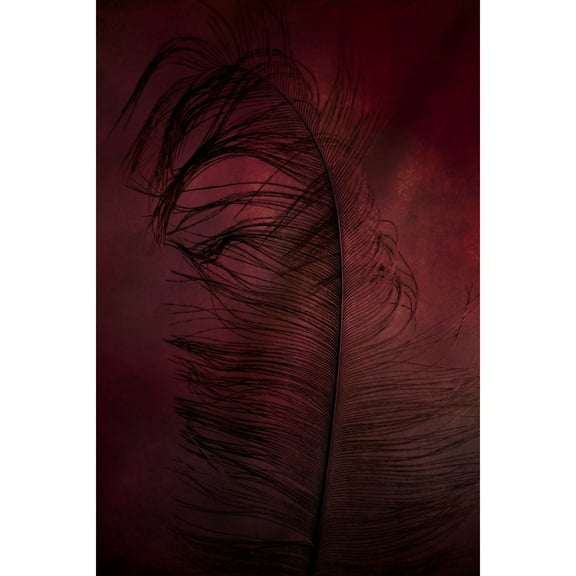 Marmont Hill "Plumtickled" by Robert Dickinson Painting Print on Canvas