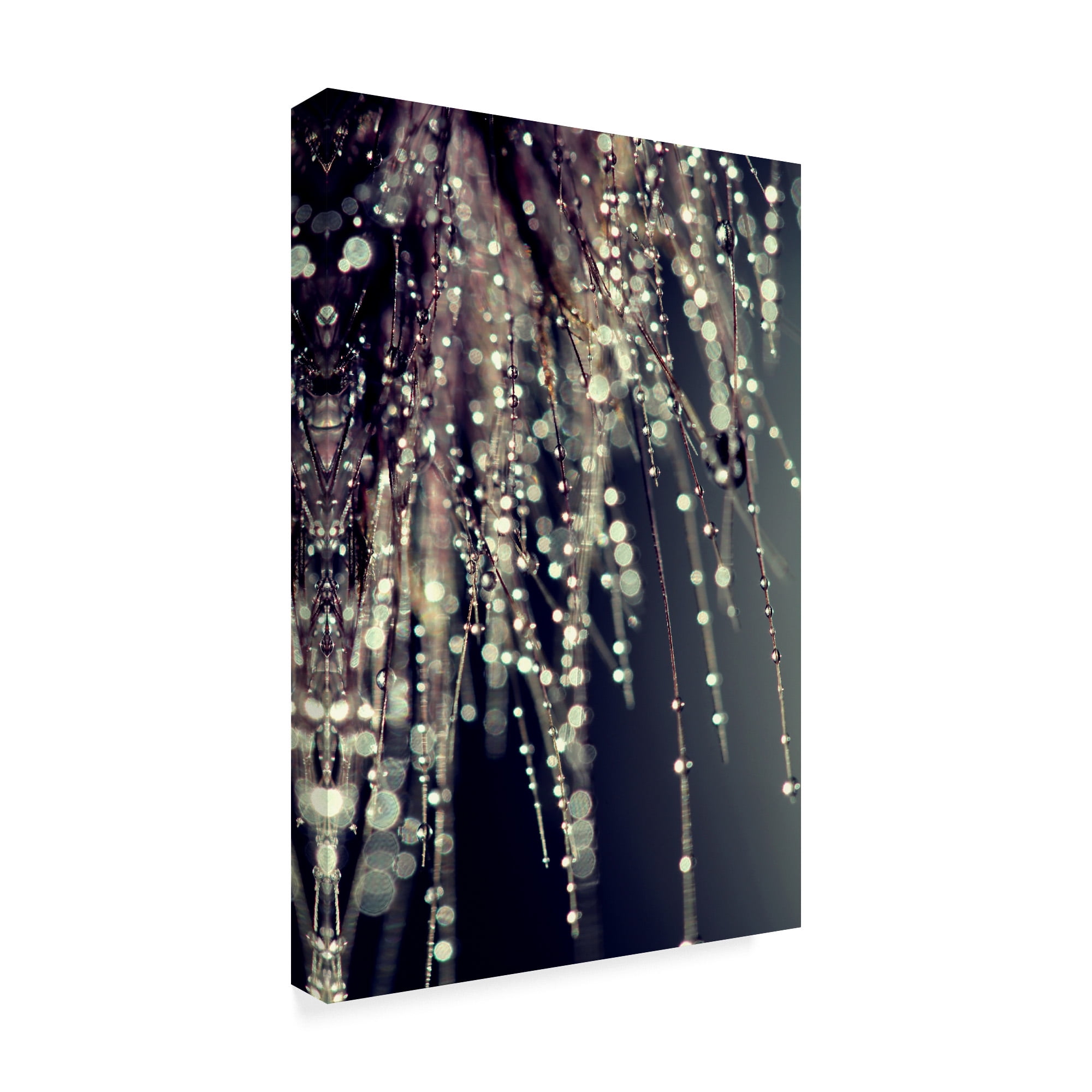 Trademark Fine Art 'Sparkling Afternoon' Canvas Art by Incredi