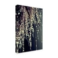 thumbnail image 2 of Trademark Fine Art 'Sparkling Afternoon' Canvas Art by Incredi, 2 of 3