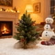 thumbnail image 4 of Árbol de Navidad Pequeño con Piñas y Frutos Rojos, Adorno de Escritorio, 4 of 6