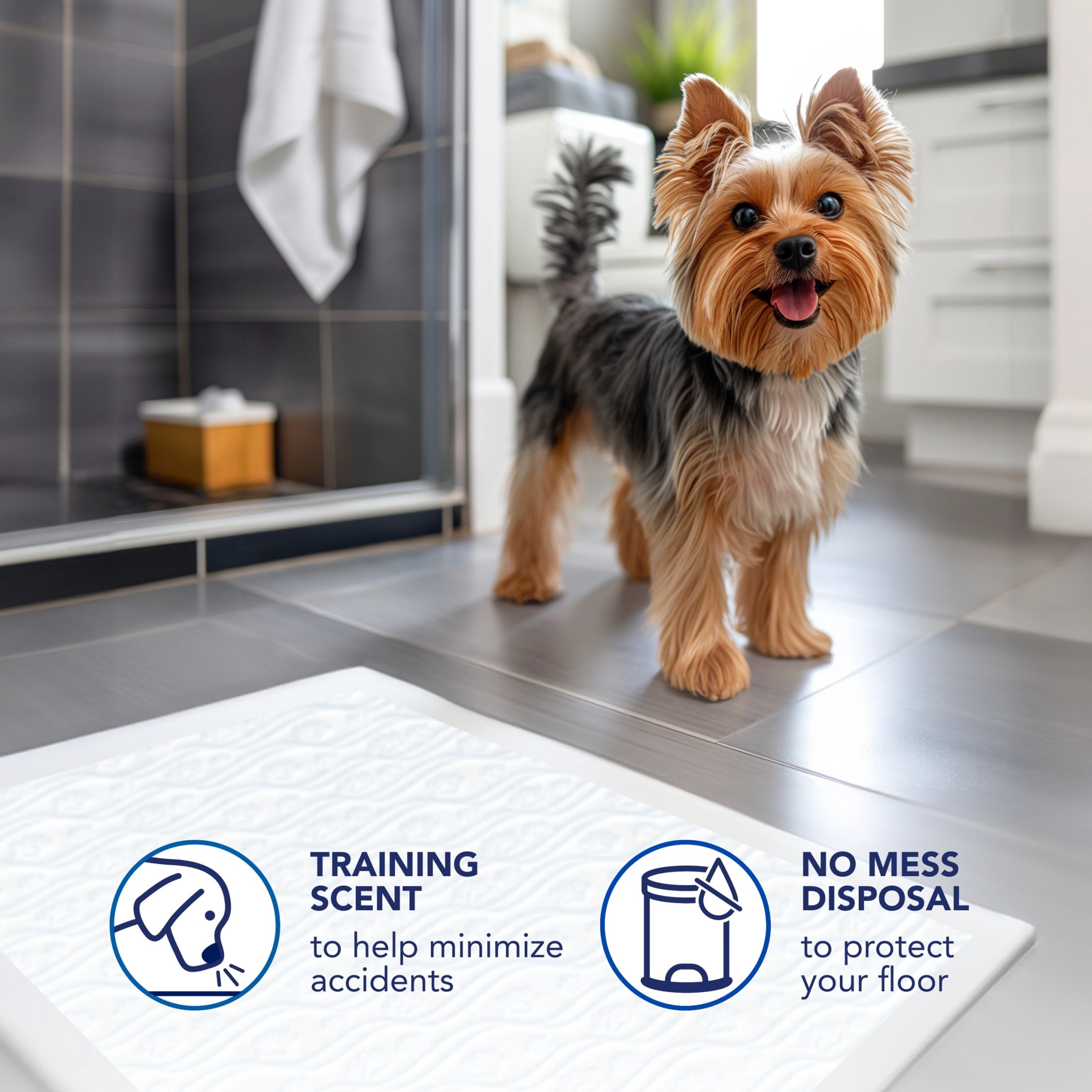 Scott Pet Guard Dog Pads - Dog Training Pee Pads for Puppies, Medium & Large Dogs - Up to 12 Hour Absorbent Odor Control - Easily Disposable Dog Pee Pads - Size Large - 22" x 22" - 50 Pack