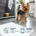 thumbnail image 6 of Scott Pet Guard Dog Pads - Dog Training Pee Pads for Puppies, Medium & Large Dogs - Up to 12 Hour Absorbent Odor Control - Easily Disposable Dog Pee Pads - Size Large - 22" x 22" - 100 Pack, 6 of 8