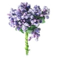 thumbnail image 2 of Un Manojo Piezas de Adornos de Pistilo de Estambres Artificiales para de Bricoje de 8,5 Cm Púrpura Gloria Estambre de la flor Pistil, 2 of 9