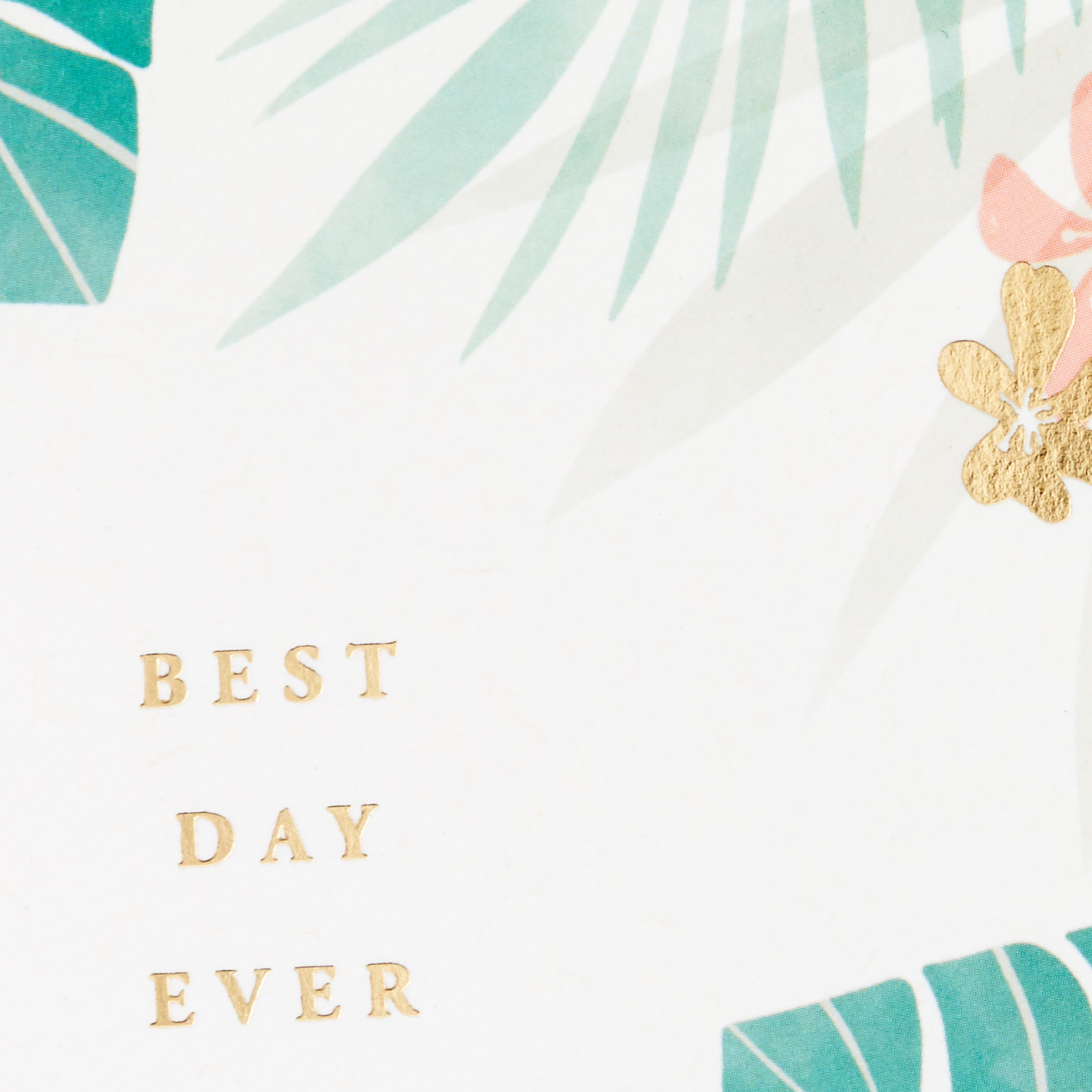 Hallmark Signature Studio Collection Blank Greeting Card (Best Day Ever)