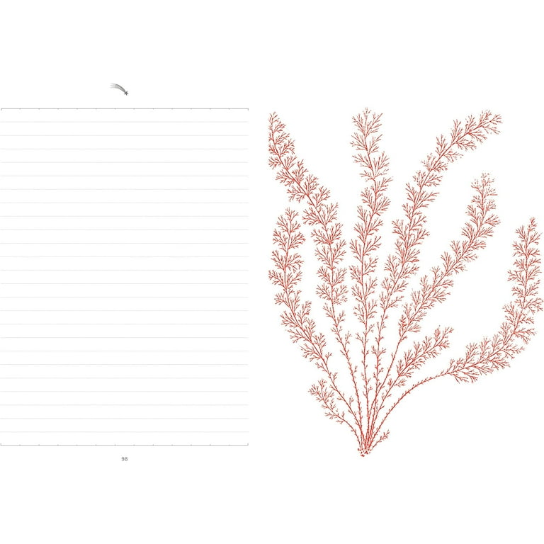 Alibabette Paris Soft Touch A5 Notebook - Pretty Pink Cover, Lined Pages, Perfect For Journaling & Notes